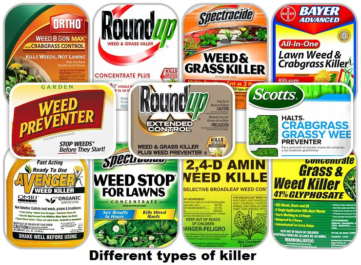 Types of Weed Killer