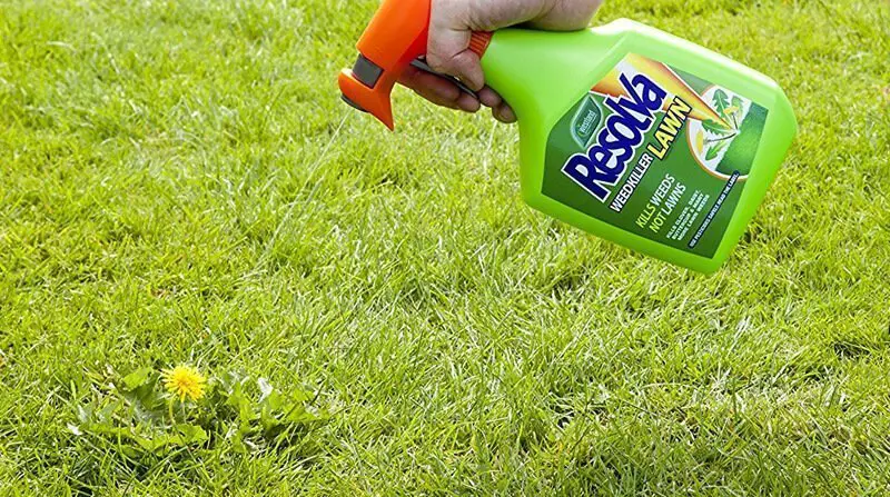 Types of Weed Killer for Lawns