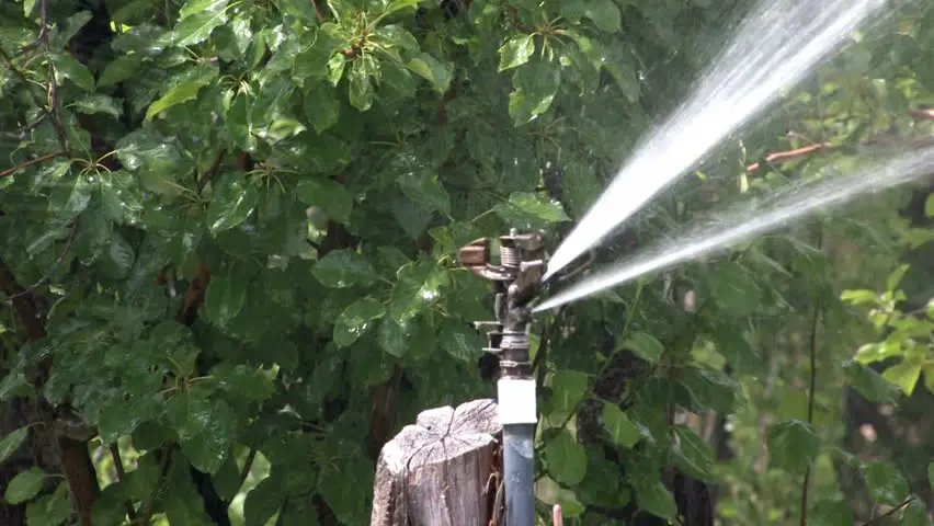 Best Tripod Sprinkler Review and Buying Guide