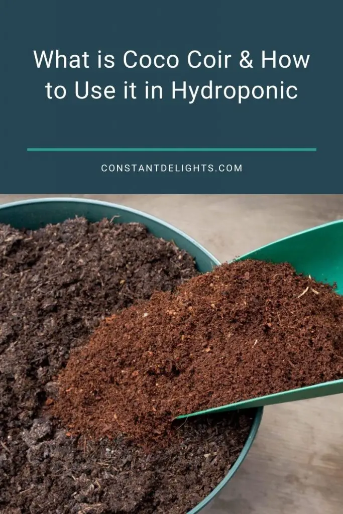 What is Coco Coir & How to Use it in Hydroponic