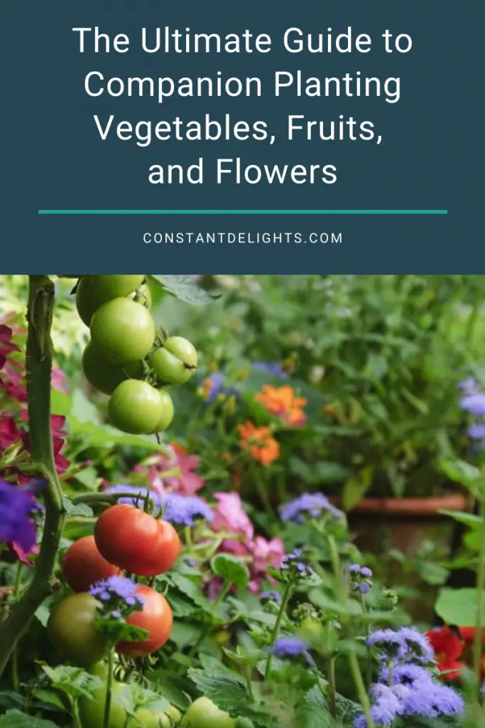 The Ultimate Guide to Companion Planting Vegetables, Fruits, and Flowers 