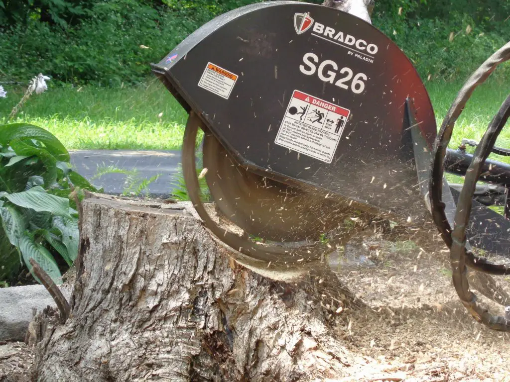 Best Stump Grinder Review and Comprehensive Buying Guide