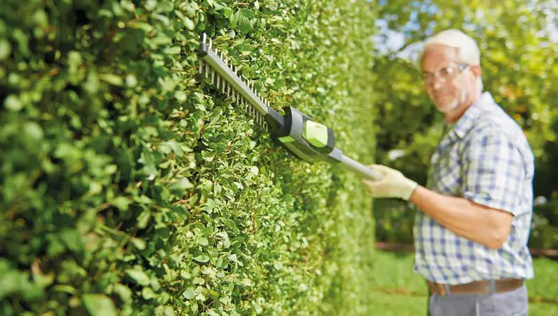 Guides and Tips on How to Use a Hedge Trimmer Safely