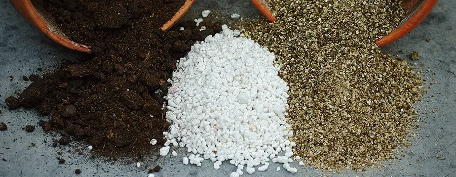 What is Perlite, its use and is it organic? Perlite or Vermiculite?