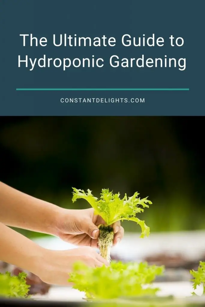 Ultimate Guide to Hydroponic - Constant Delights