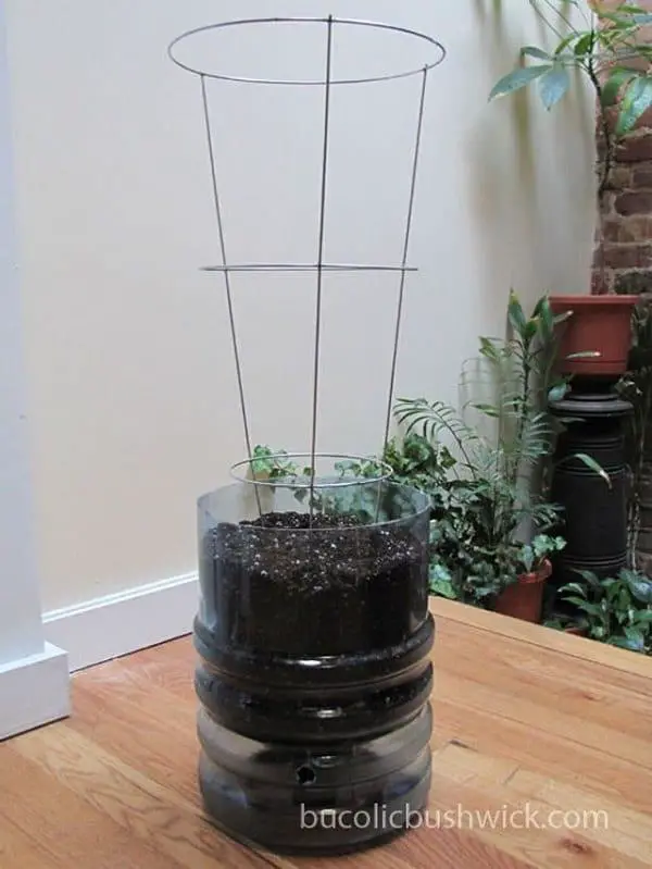 21 DIY Self Watering Planters System Ideas (using Upside-Down Bottle