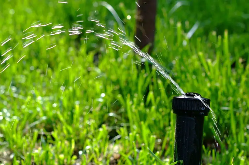 Best Lawn Sprinkler for Low Water Pressure Review and Buying Guide