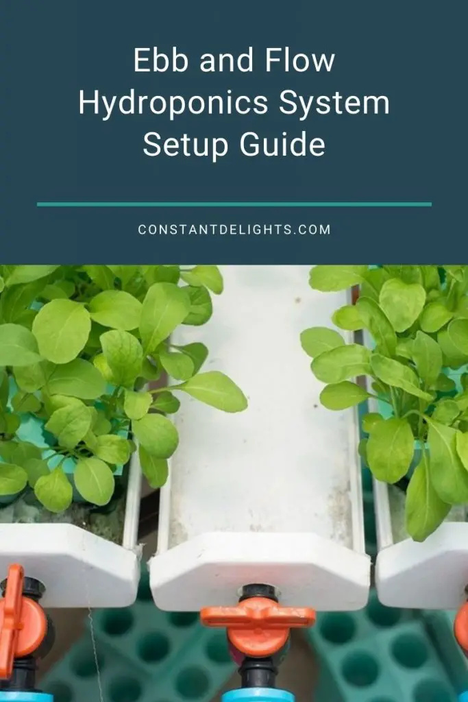 Ebb and Flow Hydroponics System Setup Guide