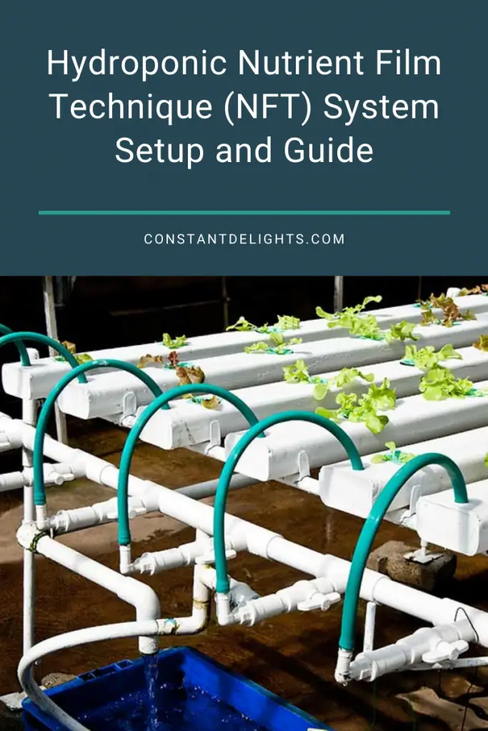 Hydroponic Nutrient Film Technique (NFT) System Setup and Guide