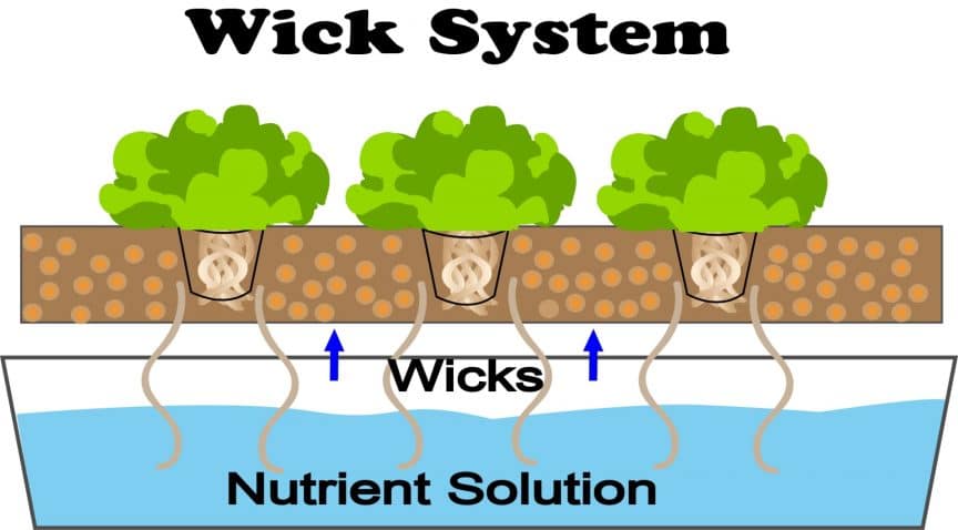 Hydroponic Wick System Garden Guide 