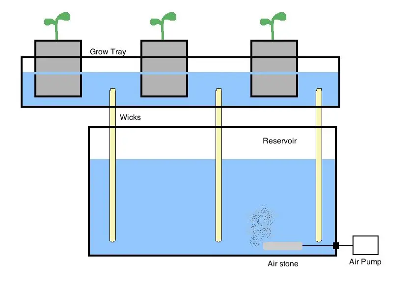 Hydroponic Systems