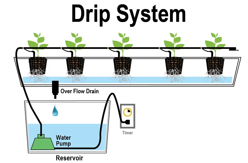 Drip Irrigation Hydroponics System Guide (Design, DIY Setup & Watering