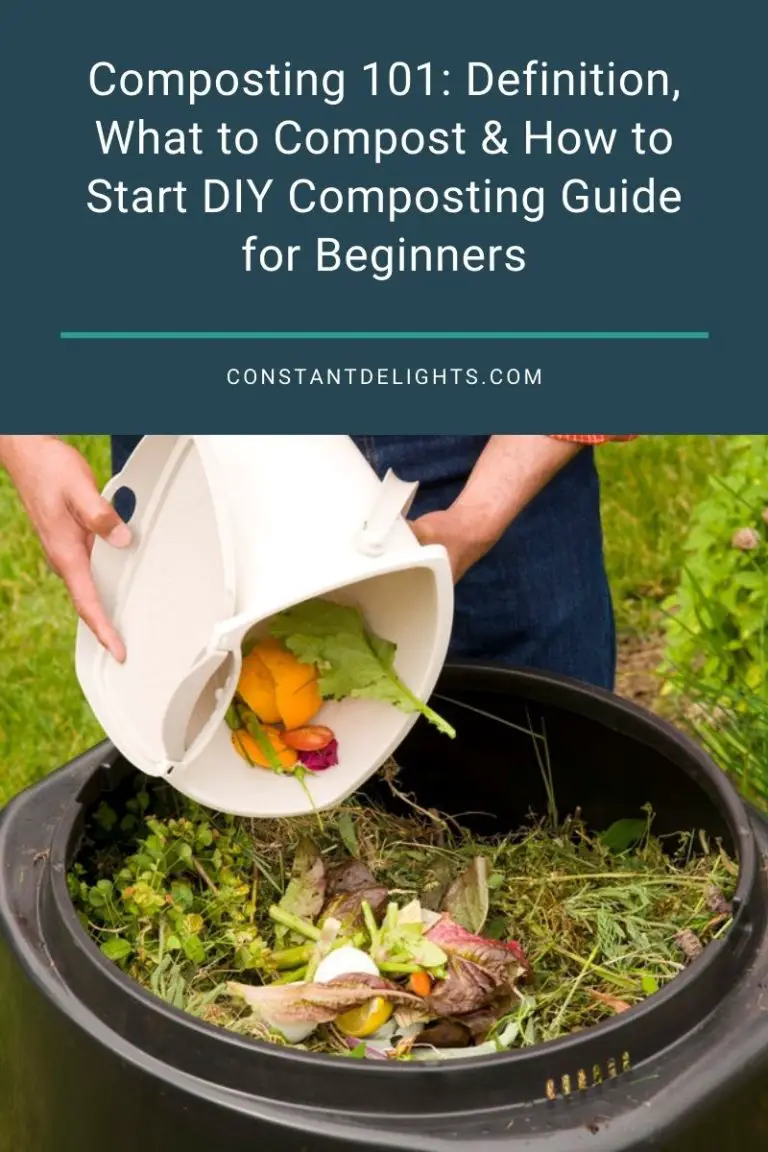 Composting Definition What To Compost How To Start Diy