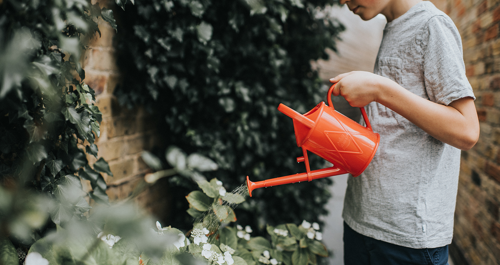 Choosing the Best Watering Can: Plastic Watering Can & Stainless Steel Watering Can Buying Guide