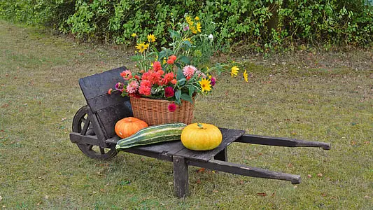 How to Choose the Best Wheelbarrow: Buying Guide & Reviews of Top Rated Wheelbarrows 