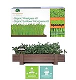 Organic Microgreens Growing Kit with Beautiful Wooden...Kit de cultivo de Microgreens orgânicos com bela madeira...