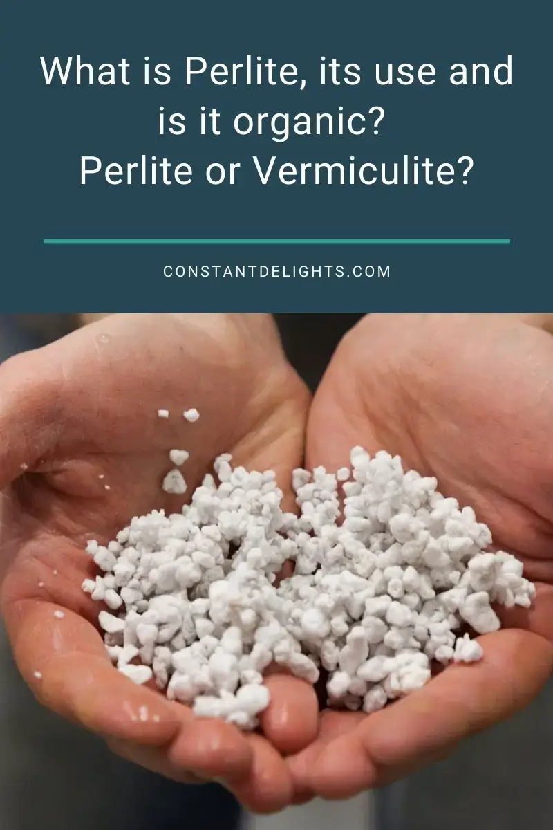 What is Perlite, its use and is it organic? Perlite or Vermiculite?