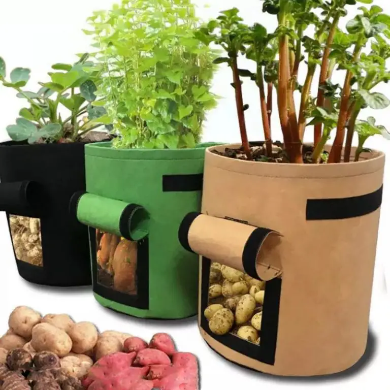 how-to-use-grow-bags-alternative-plant-containers-constant-delights