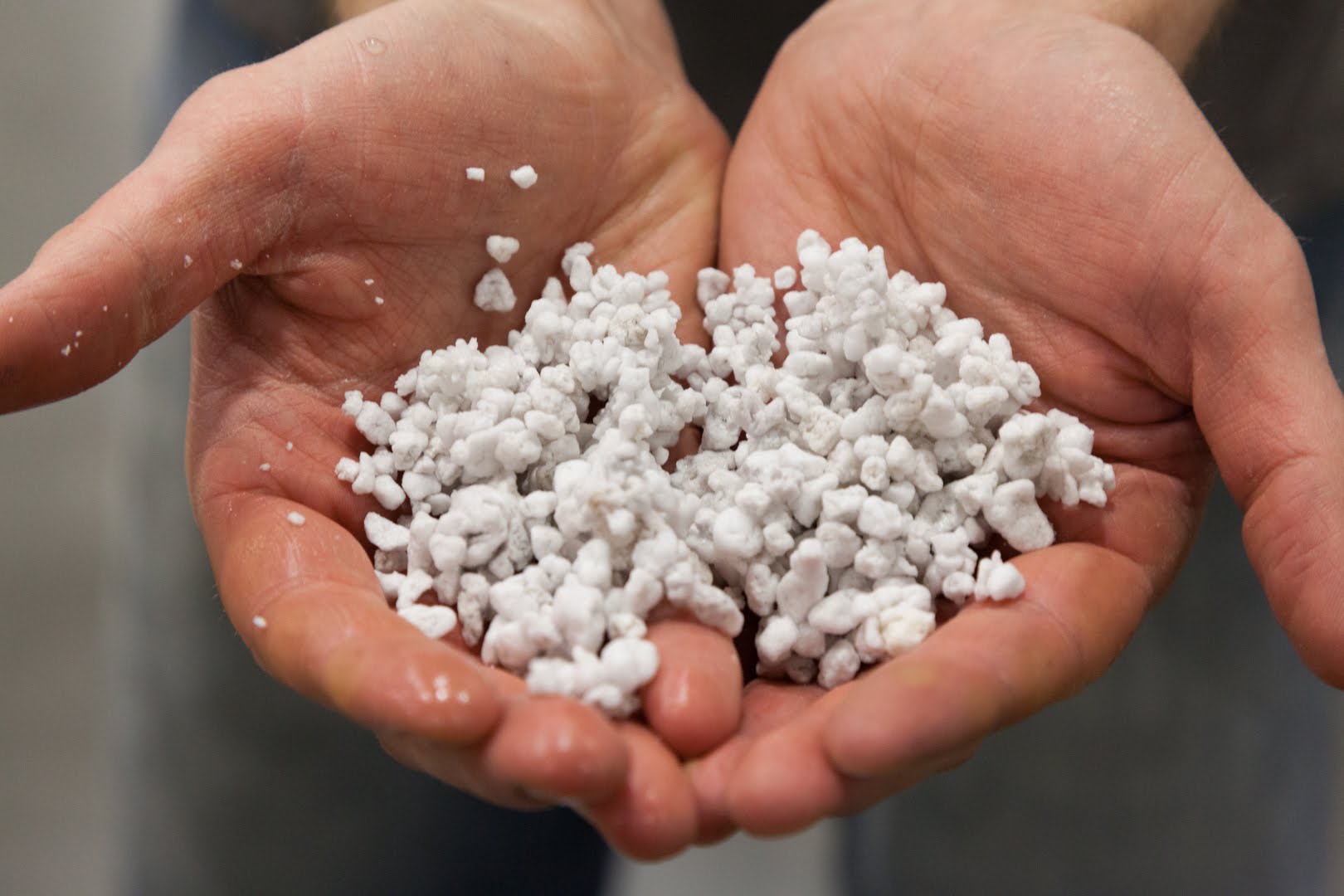 What is Perlite, its use and is it organic? Perlite or Vermiculite?