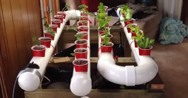 19 diy aquaponics system ideas #5 is the easiest
