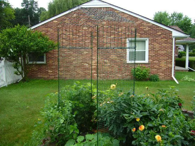 45 DIY Vegetable Garden Trellis Ideas | Constant Delights