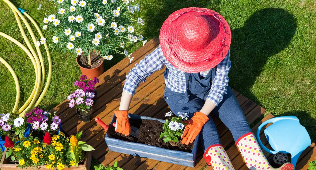 13 Gardening Experts on Gardening Tips For Beginner (plus tips from Reddit users)