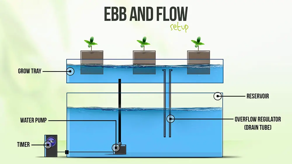 Ebb And Flow Hydroponics System Setup Guide