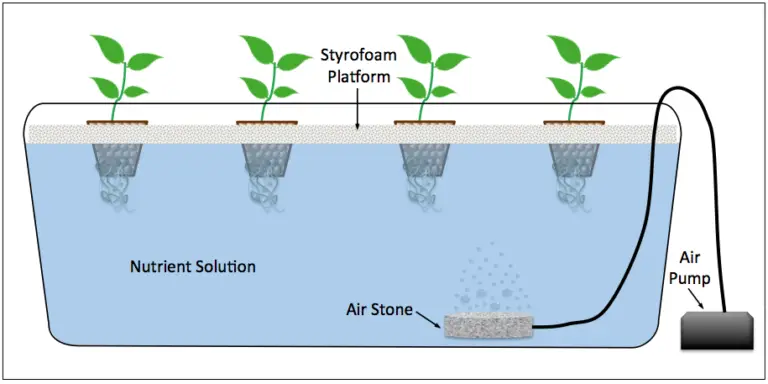 Best Hydroponic Systems Grow Kits (Complete Setup) For Beginners