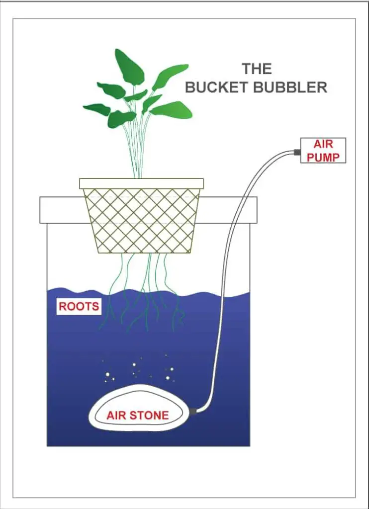 19 DIY Hydroponic Plans You Can Easily Set Up