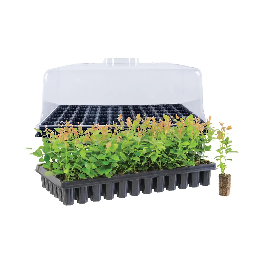 Best Hydroponic Grow Tray Reviews