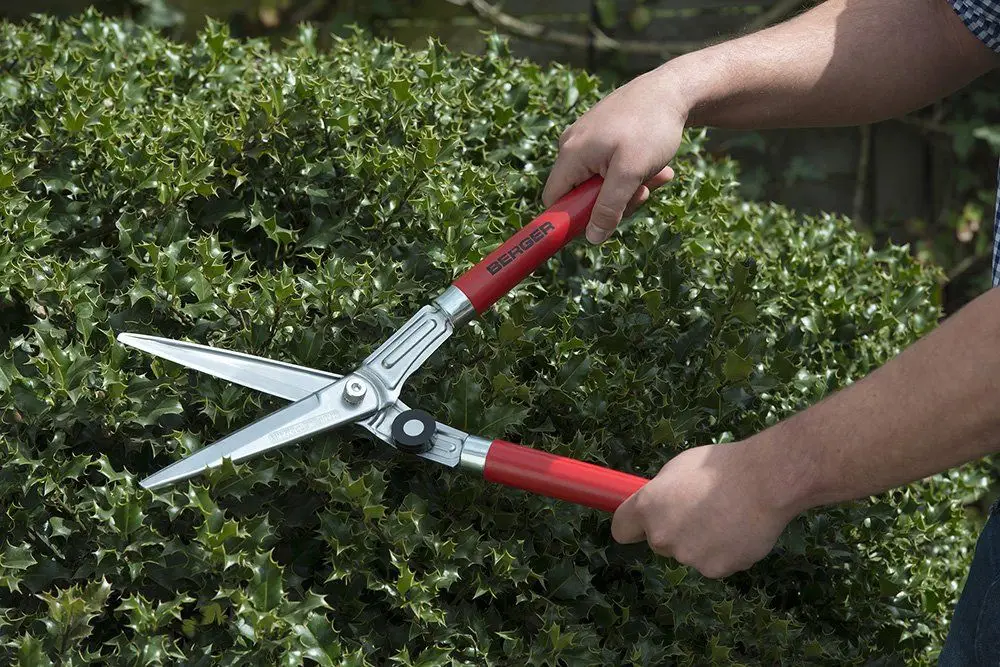 Best Hedge Shears Reviews and Buying Guide 