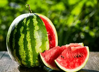 best-fertilizer-for-watermelon