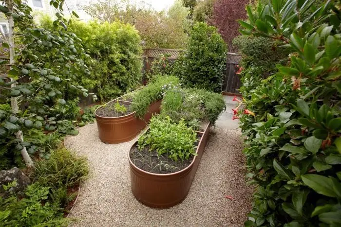 6 Gardening Experts on Raised Garden Beds Ideas