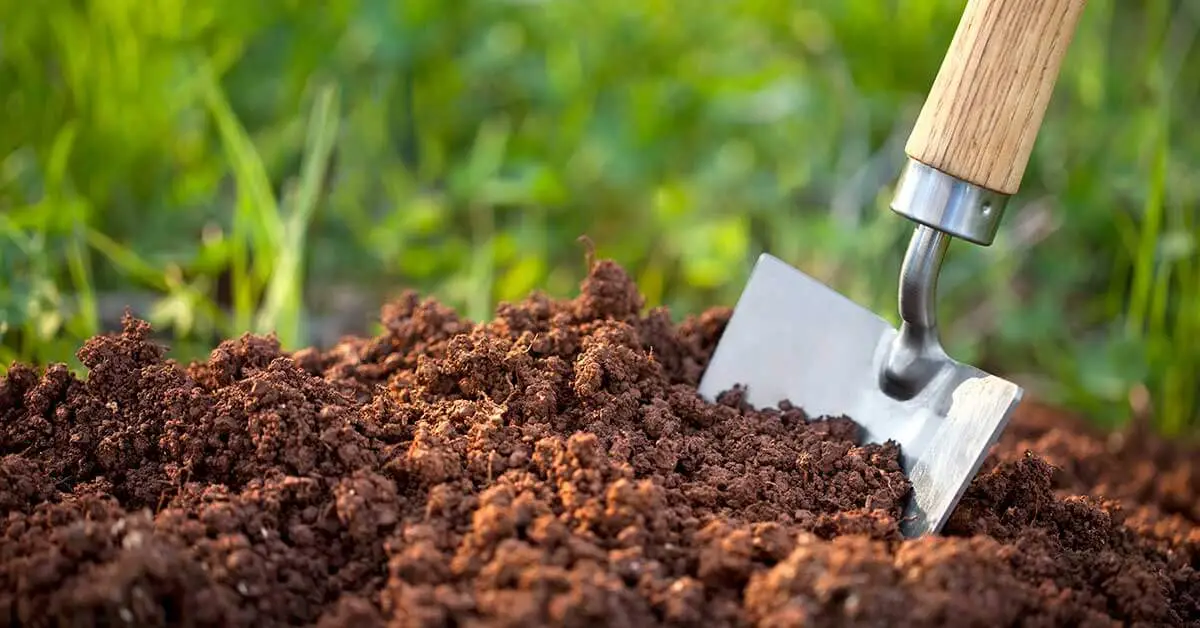 How to Add Nitrogen to Soil