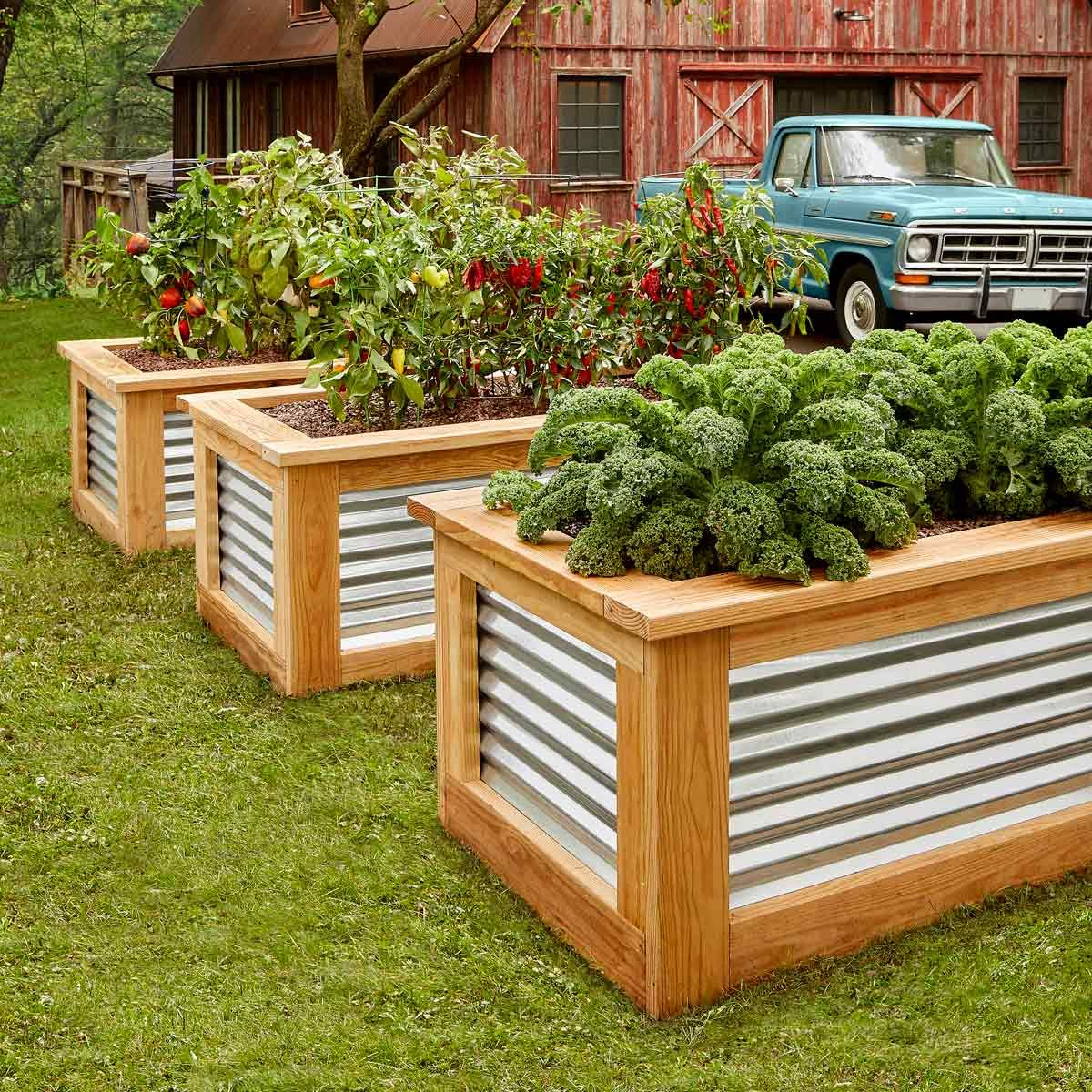 6 Gardening Experts on Raised Garden Beds Ideas