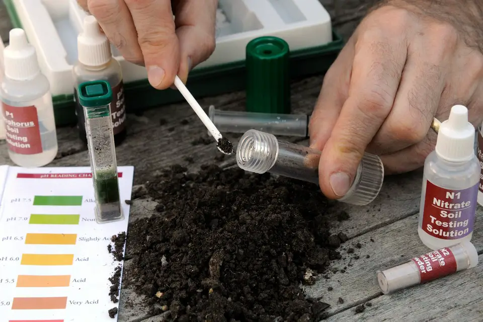 How To Test & Check Soil pH
