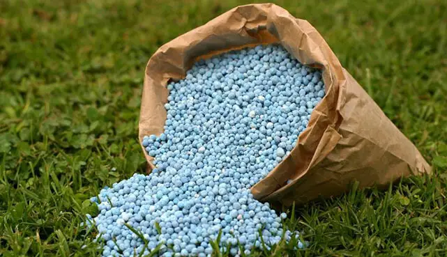 Different types of fertilizer