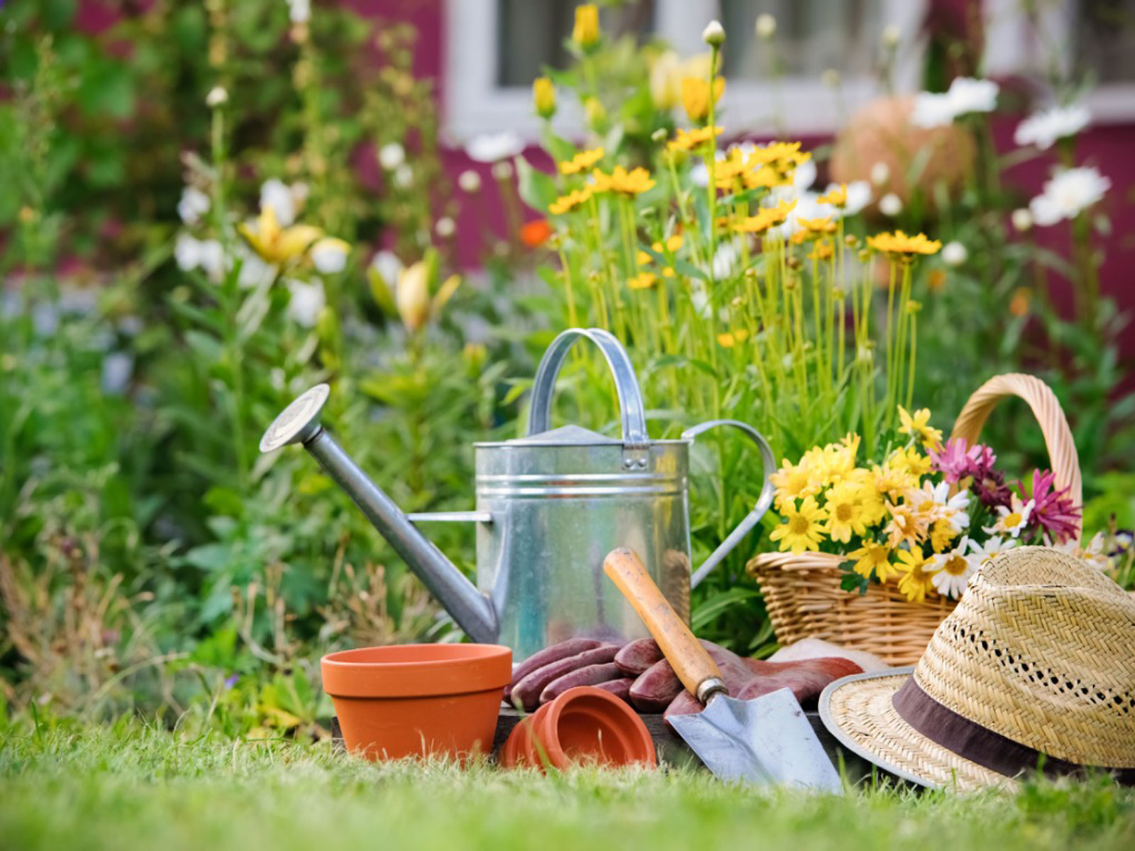 Why you should garden when you retire