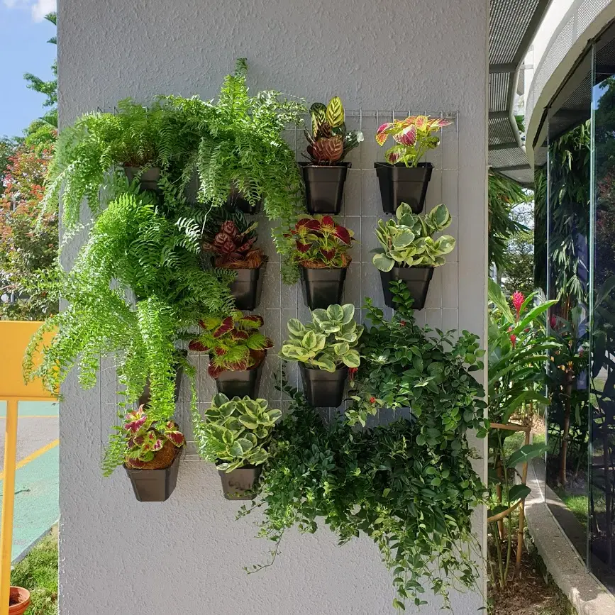 Top 9 Expert Tips For Vertical Garden Ideas
