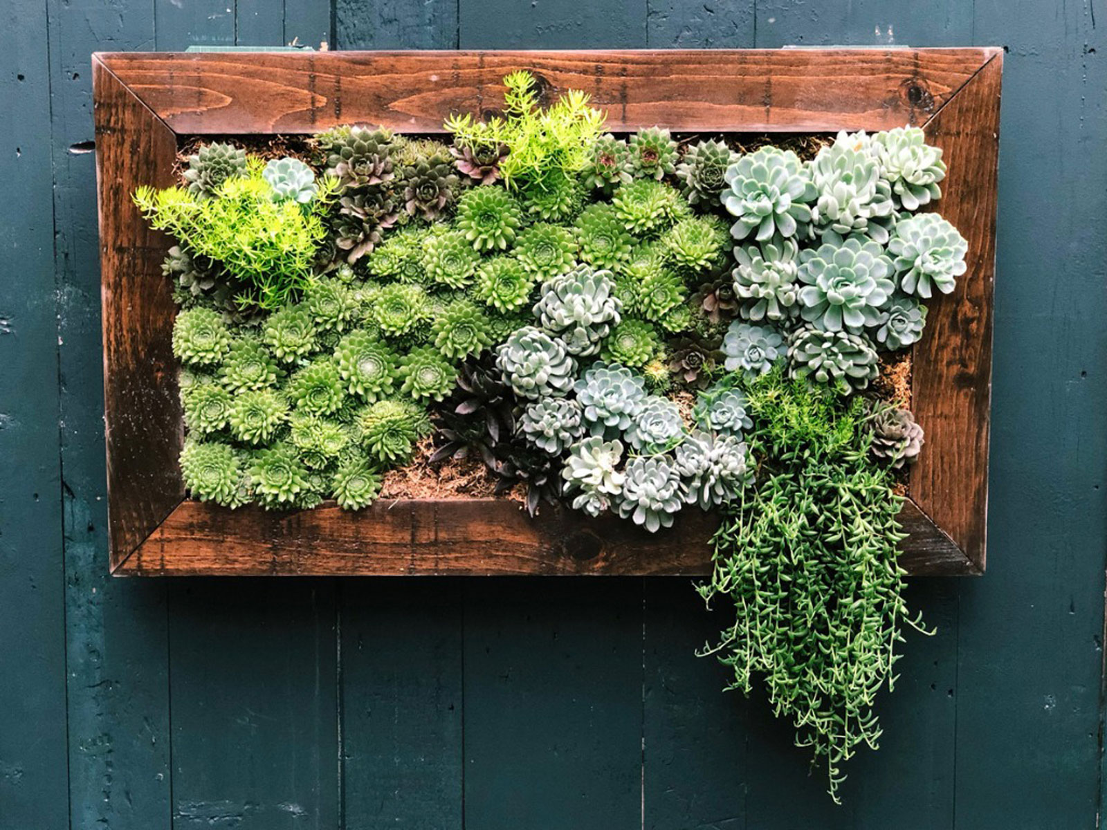 Top 9 Expert Tips For Vertical Garden Ideas