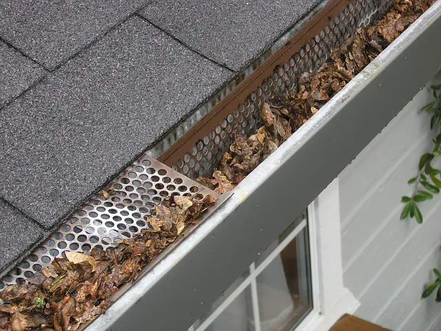 Everything you need to know about gutter cleaning