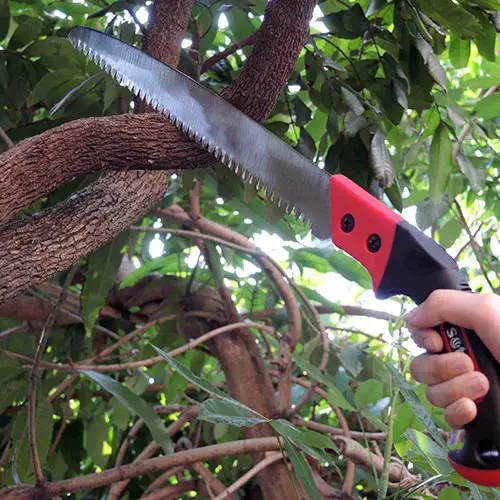 7 Best Hand Saw for Cutting Trees Review and Buying Guide