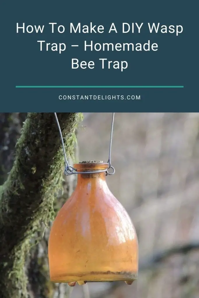 How To Make A DIY Wasp Trap – Homemade Bee Trap