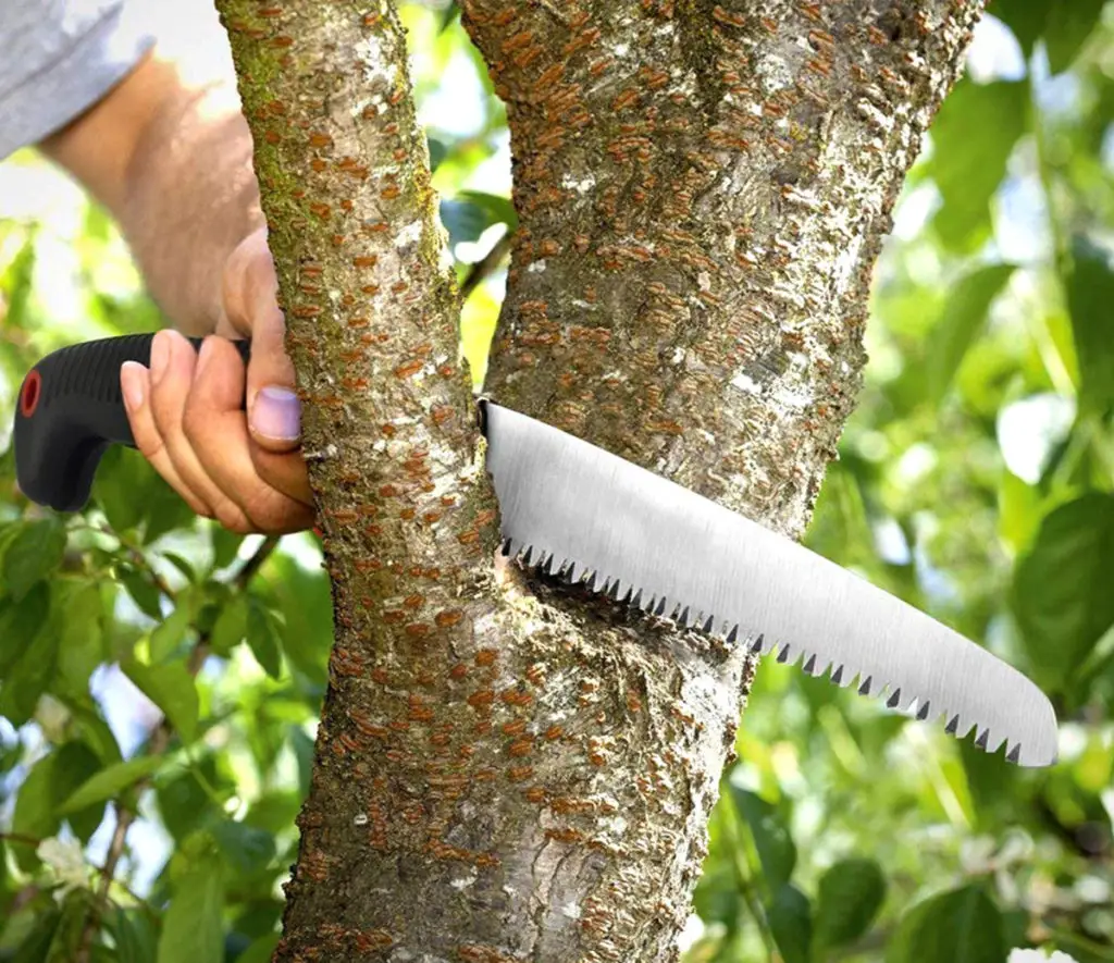 7 Best Hand Saw for Cutting Trees Review and Buying Guide