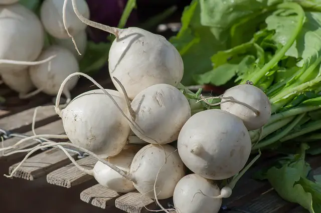 10 Easy-to-grow Root Vegetables For a Healthy Garden (with Expert Recommendations)