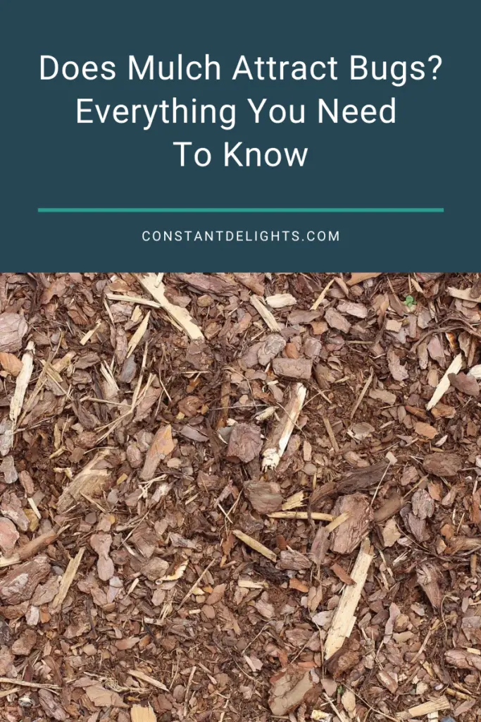 Does Mulch Attract Bugs? Everything You Need To Know Constant Delights