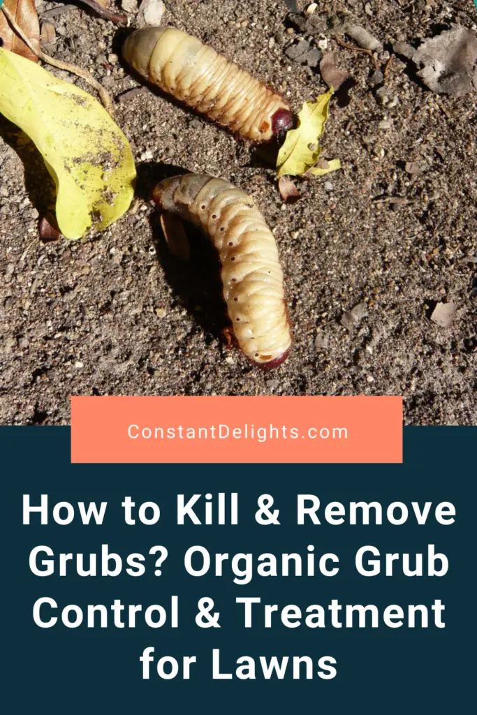 How to Kill & Remove Grubs? Organic Grub Control & Treatment for Lawns