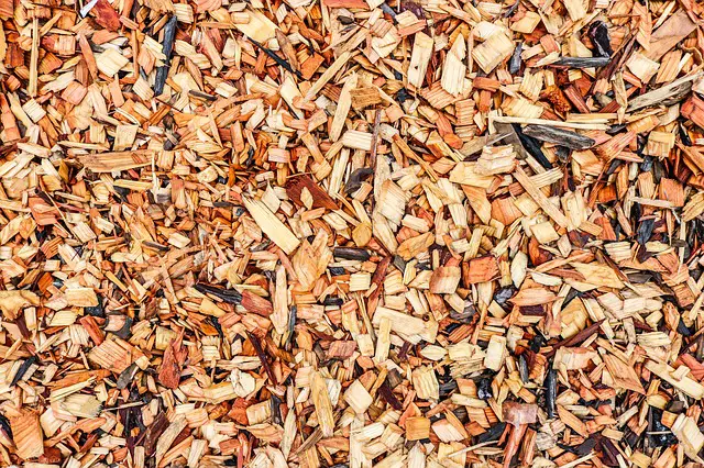 Does Mulch Attract Bugs? Everything You Need To Know