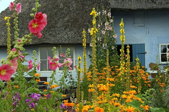 Cottage Garden Ideas - What Do You Need for a Typical Cottage Garden