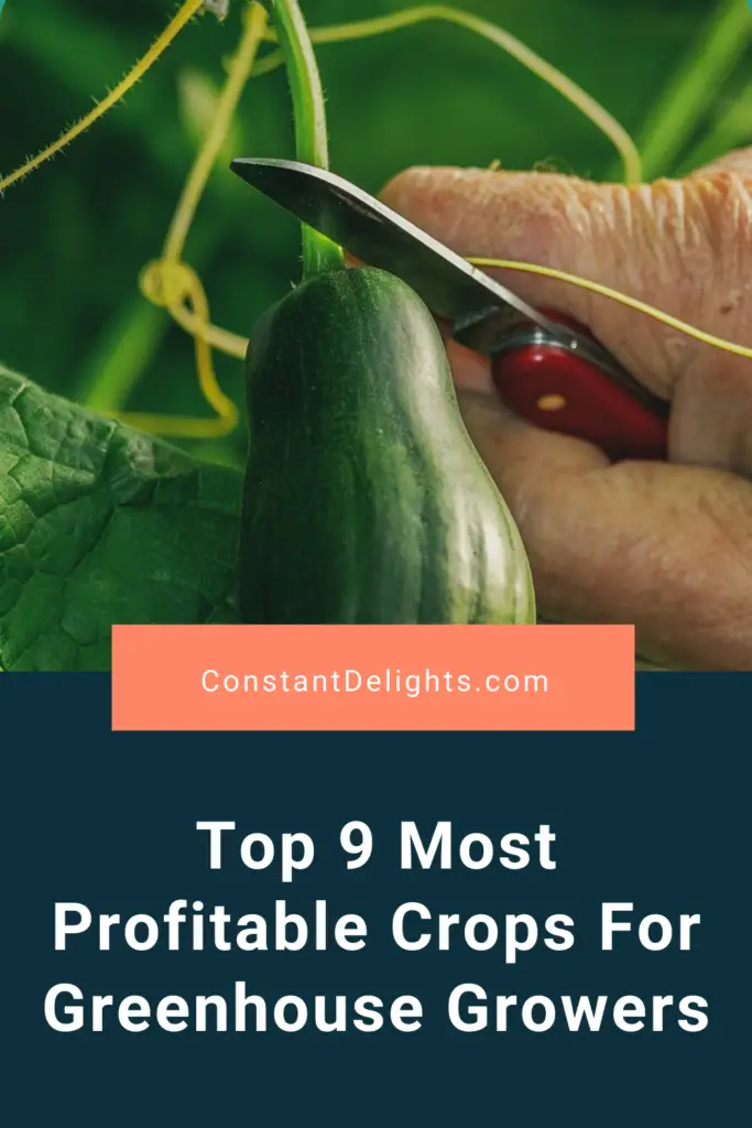 Top 9 Most Profitable Crops For Greenhouse Growers
